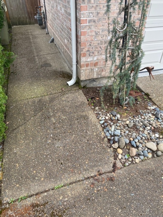 outdoor space cleared out